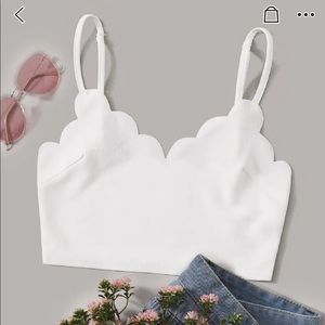 Scallop trim crop top